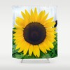Designer Sunflower Shower Curtain in Brown, Blue, and Green for Unique Bathroom Decor