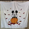 Disney Fall Mickey Mouse Pumpkin Shower Curtain For Festive Homes