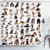 Dog Breed Composite Shower Curtain - Cloth Fabric Bathroom Decor In Brown Black