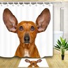 Dog Shower Curtain - Animal Prints