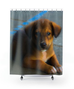 Dog Shower Curtain, Giovanni Deluca Print - Cute Bathroom Decor