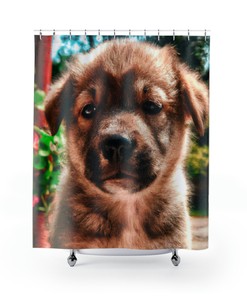Dog Shower Curtain, Giovanni Frescobaldi Print - Cute Bathroom Decor