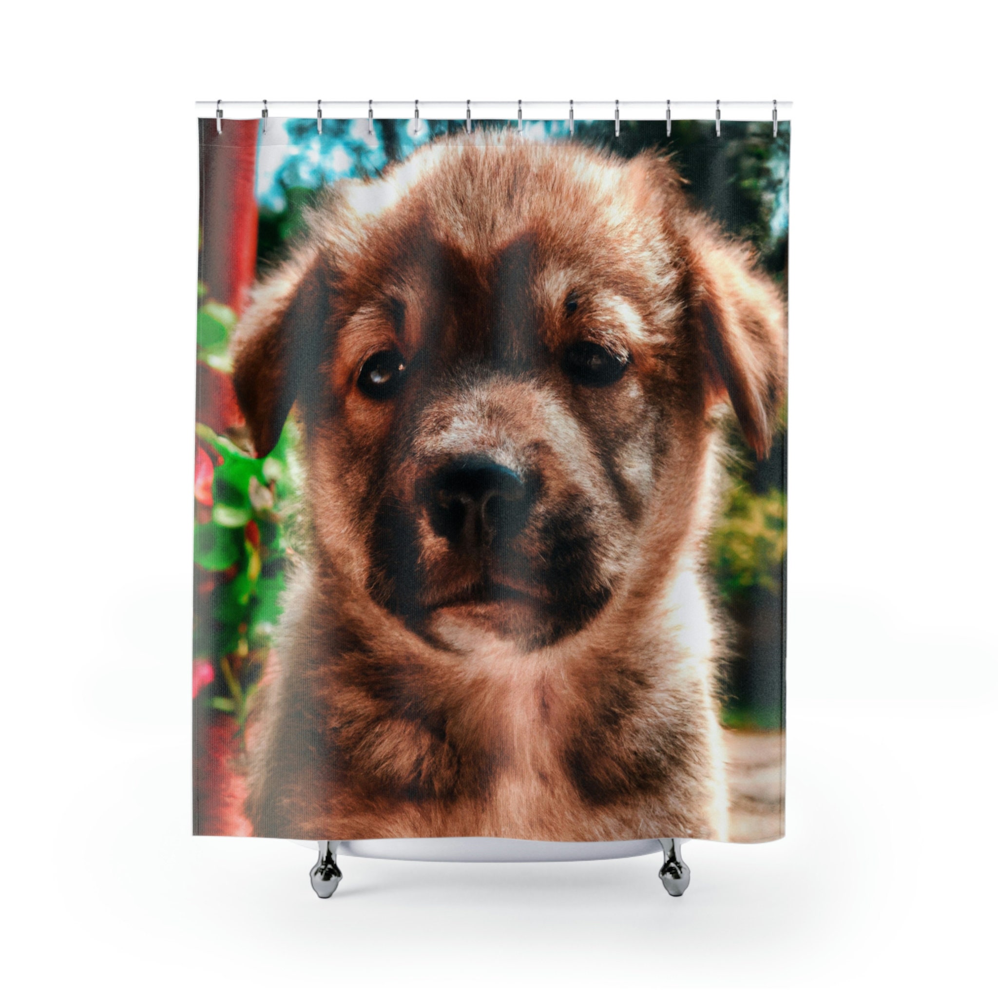 Dog Shower Curtain, Giovanni Frescobaldi Print - Cute Bathroom Decor