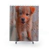 Dog Shower Curtain With Artistic Design By Filippo Guerriero For Home Bathroom Decoration