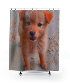 Dog Shower Curtain With Artistic Design By Filippo Guerriero For Home Bathroom Decoration