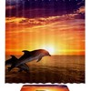 Dolphin Sea Ocean Scenic Shower Curtain for Your Bathroom