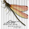 Dragonfly Motto Quotes Shower Curtain for Bathroom Decor
