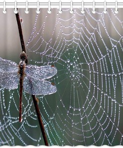 Dragonfly in Spiderweb Shower Curtain with 3D Printing for Mysterious Bathroom Decor 