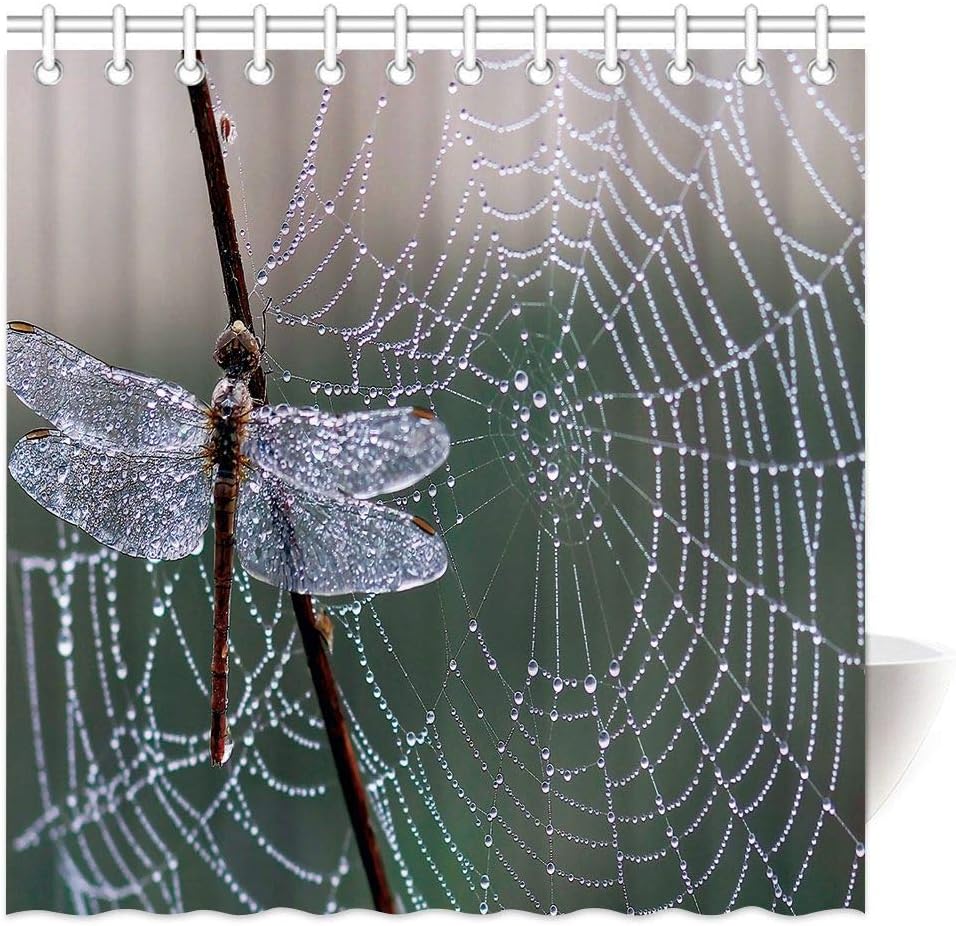 Dragonfly in Spiderweb Shower Curtain with 3D Printing for Mysterious Bathroom Decor