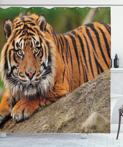 Dramatic Tiger Crouching on Rock Shower Curtain for Your Bathroom