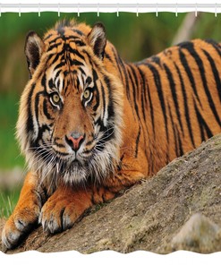 Dramatic Tiger Crouching on Rock Shower Curtain for Your Bathroom