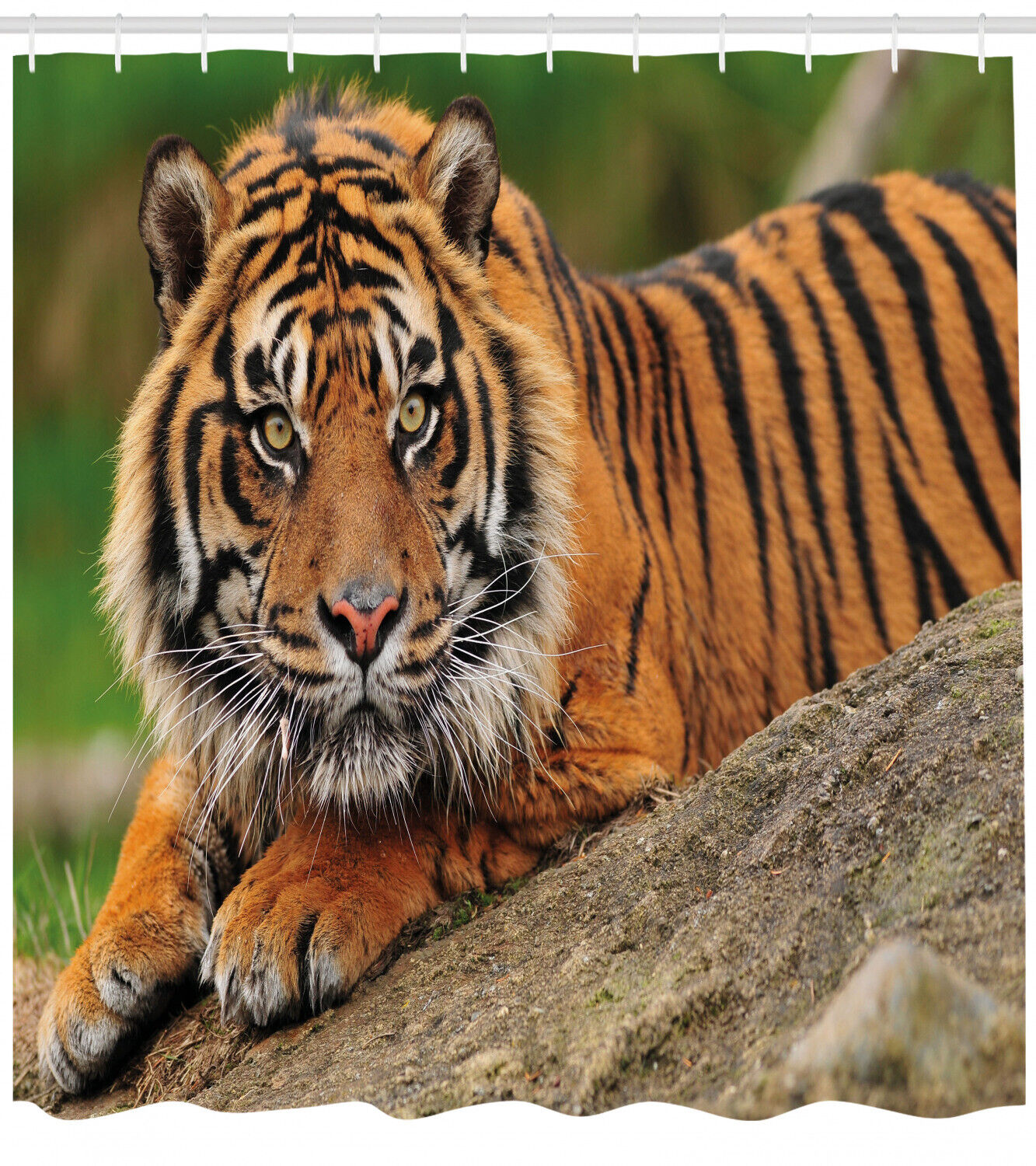 Dramatic Tiger Crouching on Rock Shower Curtain for Your Bathroom