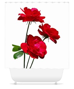 Dublin Bay Red Rose Shower Curtain for a Classic and Romantic Look