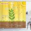 Educational Cartoon Oxygen Sun Shower Curtain For Bathroom - 