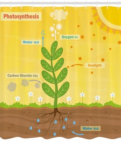 Educational Cartoon Oxygen Sun Shower Curtain For Bathroom -
