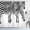 Elegant Black and White Zebra Print Shower Curtain with African Animal Design