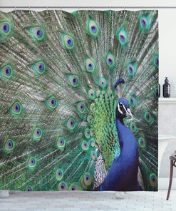 Elegant Peacock Feather Shower Curtain, Displaying Majestic Feathers Picture With Open Wings