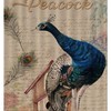 Elegant Peacock Letter Background Shower Curtain with Floral Design - Vintage Bath Curtain for Hotel