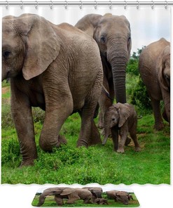 Elephant Africa Animal Shower Curtain For Nature-Inspired Bathroom Decor