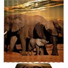 Elephant Africa Shower Curtain For Safari-Inspired Bathroom Decor