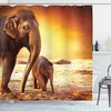 Elephant Art Print Shower Curtain For Ethnic Bathroom Decor