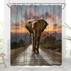 Elephant Travel Shower Curtain For Adventure Themed Bathroom Decor