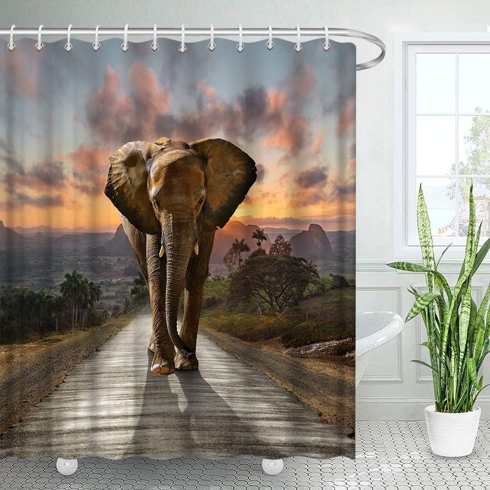 Elephant Travel Shower Curtain For Adventure Themed Bathroom Decor - Image 3