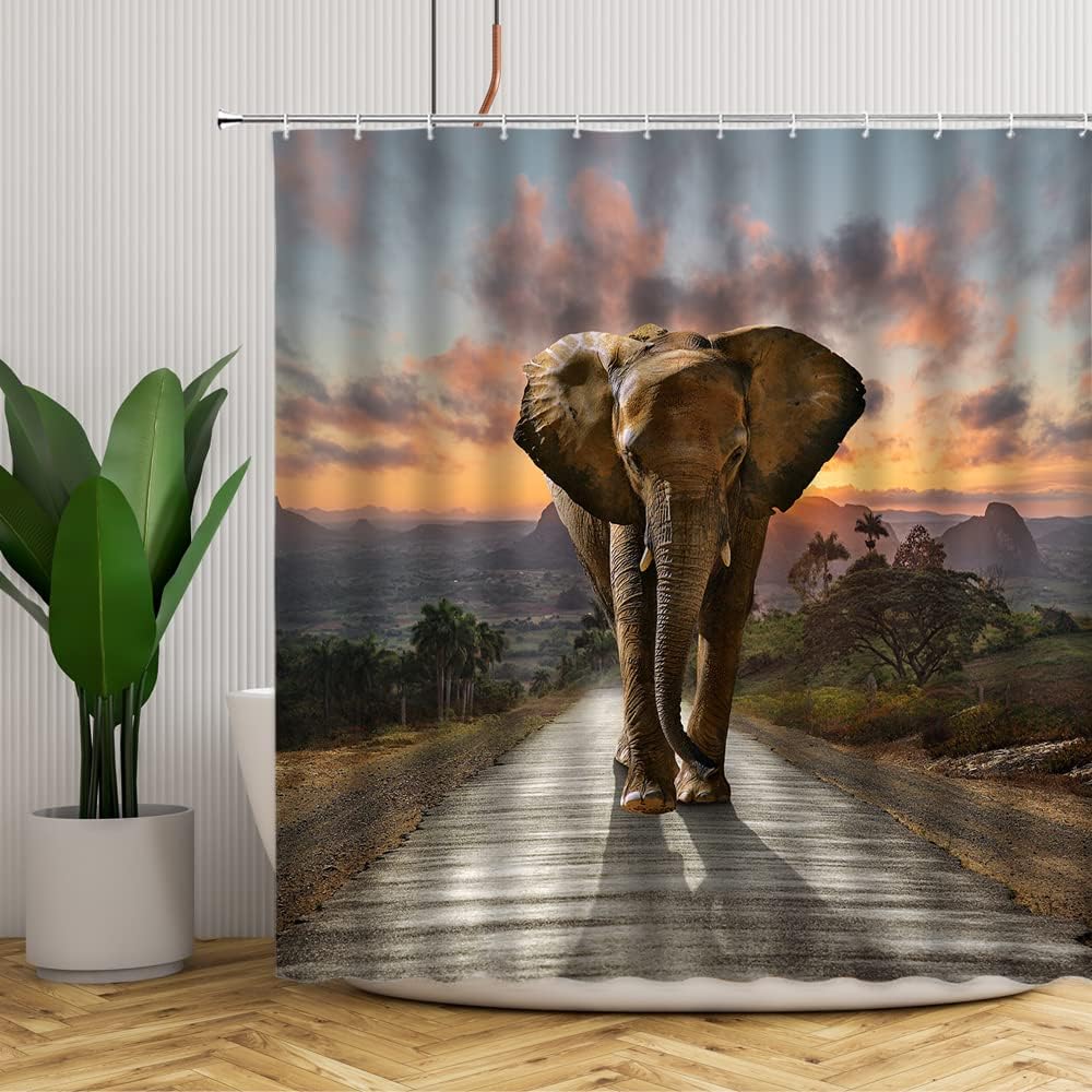 Elephant Travel Shower Curtain For Adventure Themed Bathroom Decor - Image 4
