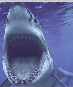 Fabric Shower Curtain with Shark Teeth Print Design for Your Bathroom