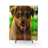 Fabrizio Rossi- Dog Shower Curtain - A Perfect Addition To Your Bathroom