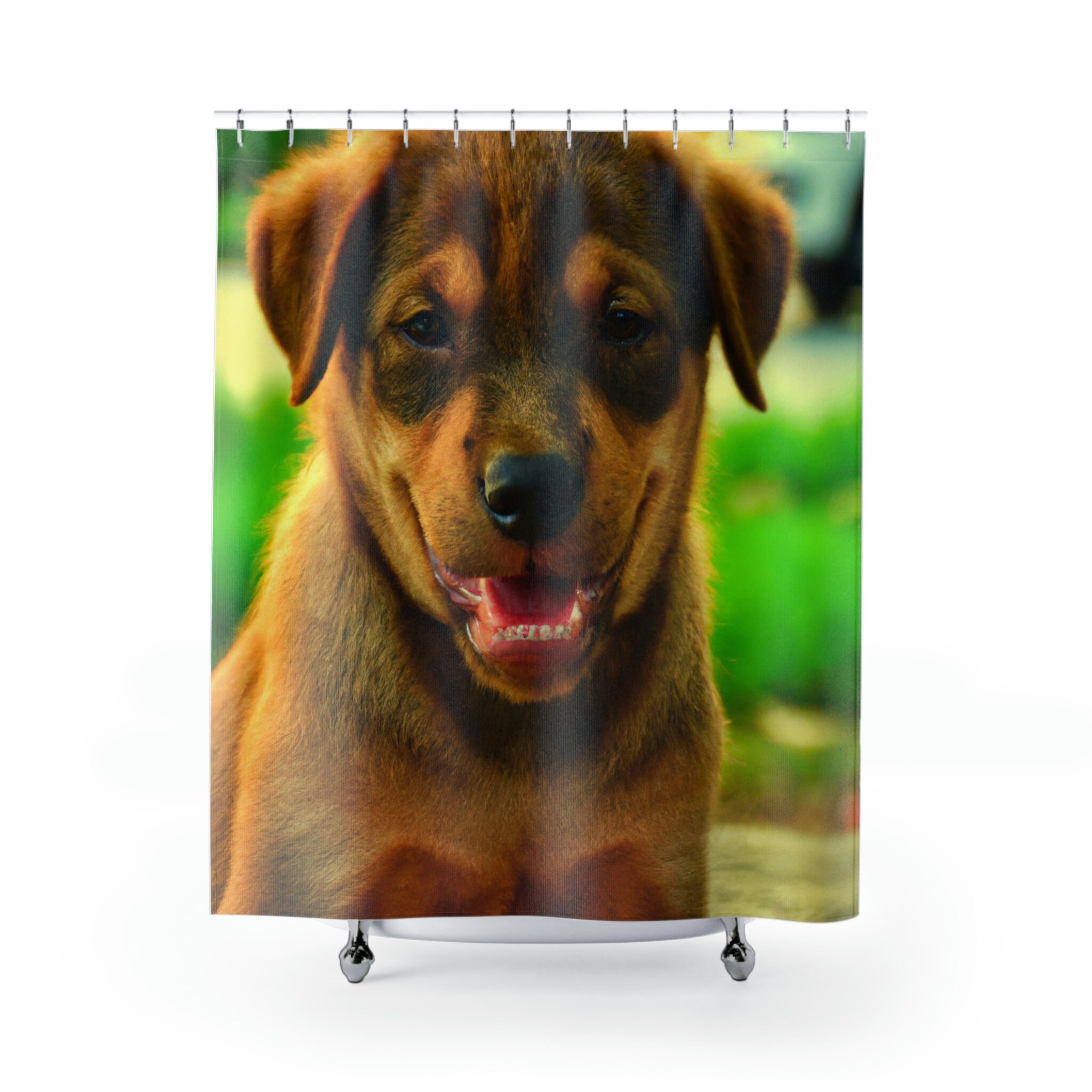 Fabrizio Rossi- Dog Shower Curtain - A Perfect Addition To Your Bathroom