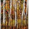 Fall Birch Trees with Autumn Leaves Shower Curtain for Cozy Bathroom Decor