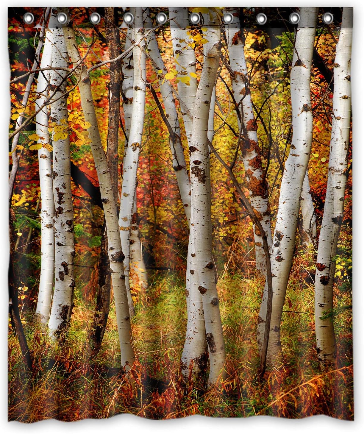 Fall Birch Trees with Autumn Leaves Shower Curtain for Cozy Bathroom Decor