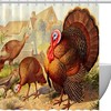 Farm Animal Rooster Turkey Peacock Fabric Shower Curtain for Bathroom Decor