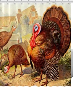 Farm Animal Rooster Turkey Peacock Fabric Shower Curtain for Bathroom Decor