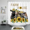 Farmhouse Shower Curtain With Sunflower - Funny Cow Bathroom Accessory For Rustic Decor