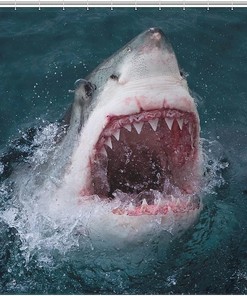 Fashionable Gray Great White Shark Shower Curtain For Bathroom Decor