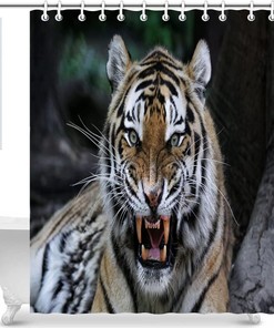 Fierce Tiger Shower Curtain For The Ultimate Bathroom Decor