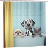 Fiokroo Funny Bathing Cat And Dogs Home Bathroom Decor Shower Curtain