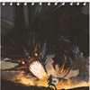 Fire Dragon Fantasy Wizard Magic Black Print Fabric Shower Curtain