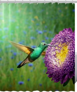Flower Hummingbird Fantasy Shower Curtain Waterproof Washable Fabric for Guest Bathroom