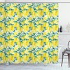 Fly Agarics Wonderland Lawn Meadow Scenery Greenwood Mushroom Shower Curtain