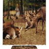 Forest Deers Shower Curtain For Rustic Bathroom Decoration - Forest Deers Shower Curtain
