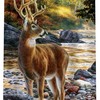 Forest Jungle Wildlife Cute Deer Hunting Camo Shower Curtain for a Rustic Bathroom