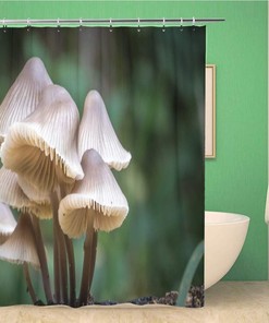 Forest Mushrooms Shower Curtain with Wild Garden Meadow Spring Design, Botanical Bathroom Decor 