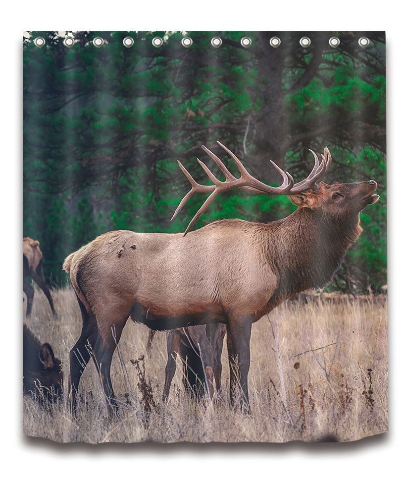 Forest Scenic Elk Shower Curtain - Waterproof Fabric Bathroom Accessory