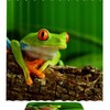 Forest Tree and Frog Print Shower Curtain for Your Bathroom Dcor