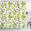 Fresh Background Lemon Woody Plant Romance Habitat Citrus Nature Shower Curtain