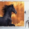 Frisian Horse Portrait Shower Curtain with Warm Hot Sun Rays 