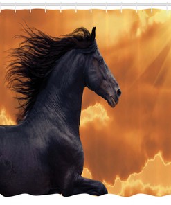 Frisian Horse Portrait Shower Curtain with Warm Hot Sun Rays